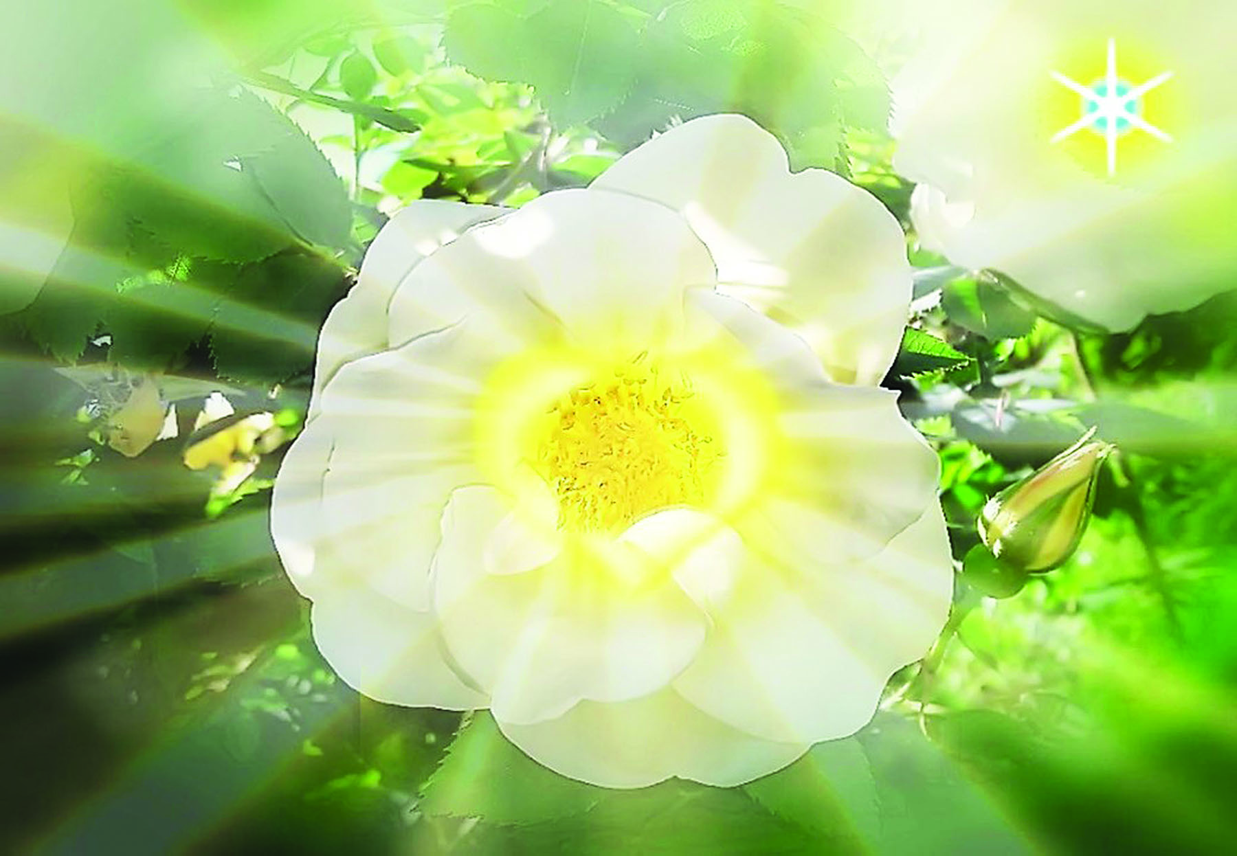 Dreams_07_color_HI